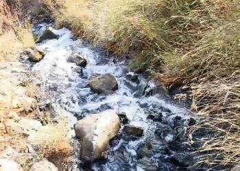 कडकनाथवाडी साठवण तलावाची गळती थांबेना; संबंधित अधिकाऱ्यांकडून ठेकेदारची पाठराखण