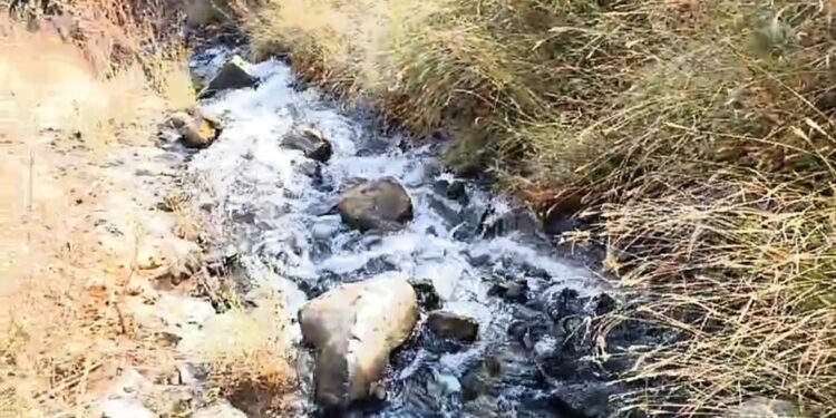 कडकनाथवाडी साठवण तलावाची गळती थांबेना; संबंधित अधिकाऱ्यांकडून ठेकेदारची पाठराखण