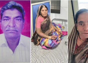 आग्या मोहोळ चावल्याने एकाचा मृत्यू; दोन महिला जखमी