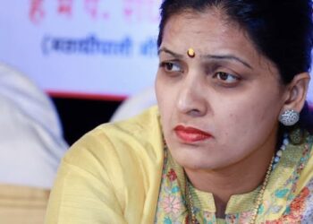 मॅडम पराचा कावळा करत आहेत, नेटकरी संतापले