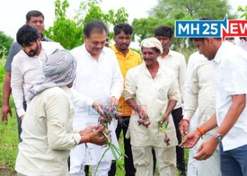 निसर्गानं मारलं; आमदार साहेबांनी हसून तारलं?