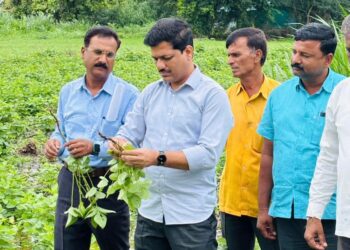 जिल्ह्यातील सर्व महसुली मंडळातील नुकसानीचे पंचनामे करून अहवाल शासनास सादर करण्याची आमदार कैलास पाटील यांची मागणी