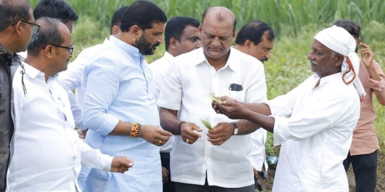 धाराशिव जिल्ह्यात अतिवृष्टीचा तडाखा भाजपा जिल्हाध्यक्ष दत्ताभाऊ कुलकर्णी यांनी केली नुकसानीची पाहणी