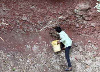 рдХреЛрд░рдбреНрдпрд╛ рд╡рд┐рд╣рд┐рд░реАрдд рдЕрдбрдХрд▓реЗрд▓реНрдпрд╛ рдЪрд╛рд░ рдкрд┐рд▓реНрд▓рд╛рдВрдирд╛ рдЬреАрд╡рджрд╛рди рдирдЧрд░рд╕реЗрд╡рдХ рдЕрднрд┐рдЬрд┐рдд рдкрддрдВрдЧреЗ рдпрд╛рдВрдЪреА рддрддреНрдкрд░ рдзрд╛рд╡