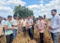 पावसाच्या खंडामुळे वाळत चाललेल्या पिकांची खासदार ओमराजेंकडून पाहणी