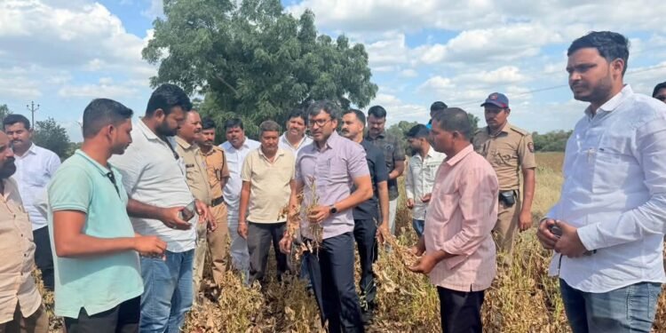 पावसाच्या खंडामुळे वाळत चाललेल्या पिकांची खासदार ओमराजेंकडून पाहणी
